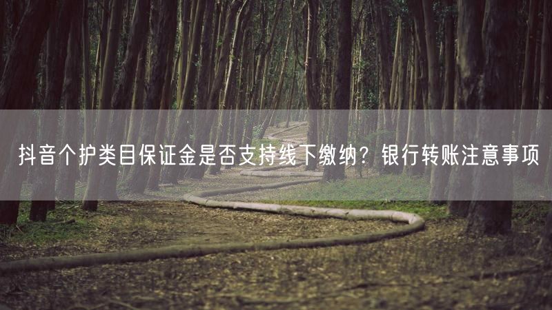 抖音个护类目保证金是否支持线下缴纳？银行转账注意事项