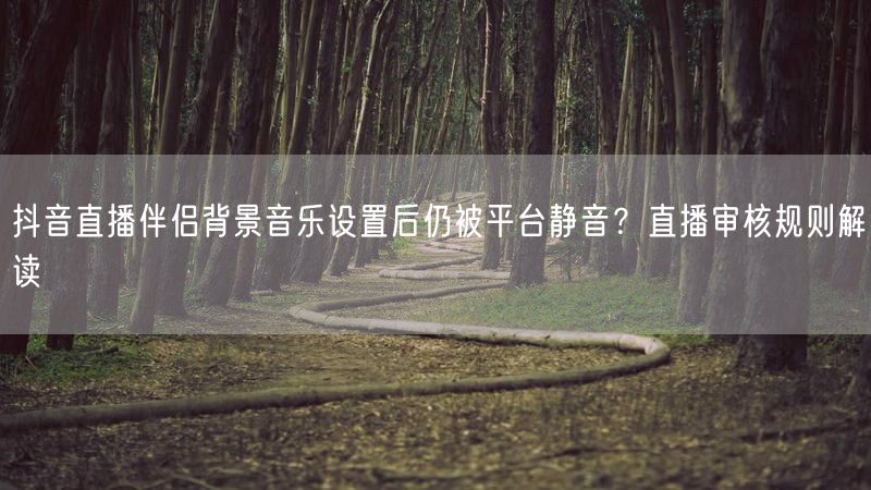 抖音直播伴侣背景音乐设置后仍被平台静音？直播审核规则解读