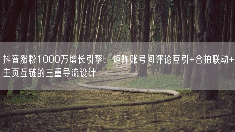 抖音涨粉1000万增长引擎：矩阵账号间评论互引+合拍联动+主页互链的三重导流设计