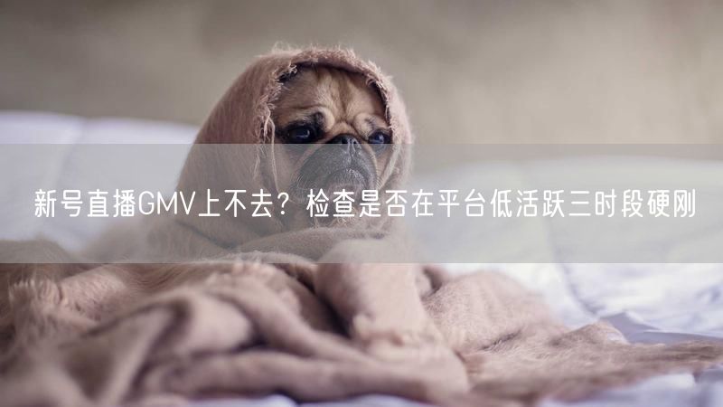 新号直播GMV上不去？检查是否在平台低活跃三时段硬刚