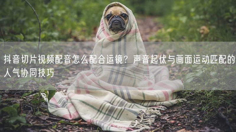 抖音切片视频配音怎么配合运镜？声音起伏与画面运动匹配的人气协同技巧