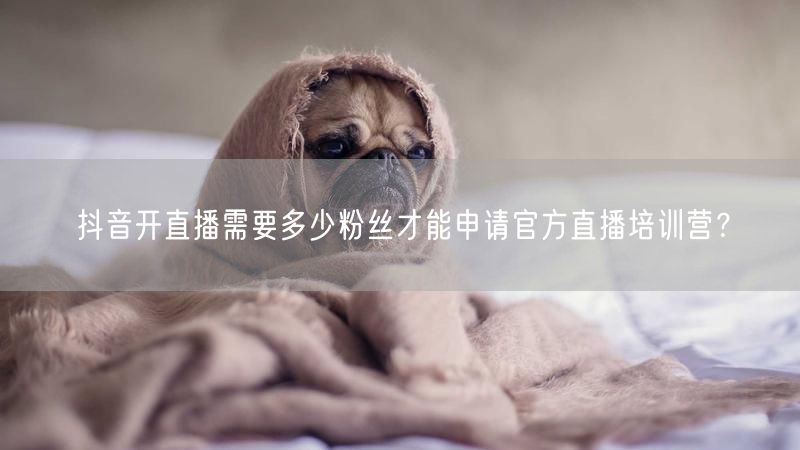 抖音开直播需要多少粉丝才能申请官方直播培训营？
