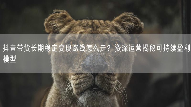 抖音带货长期稳定变现路线怎么走？资深运营揭秘可持续盈利模型