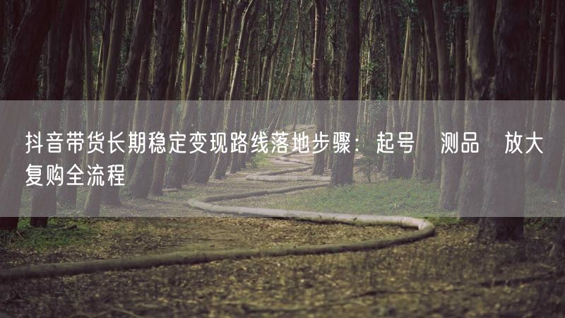 抖音带货长期稳定变现路线落地步骤：起号→测品→放大→复购全流程