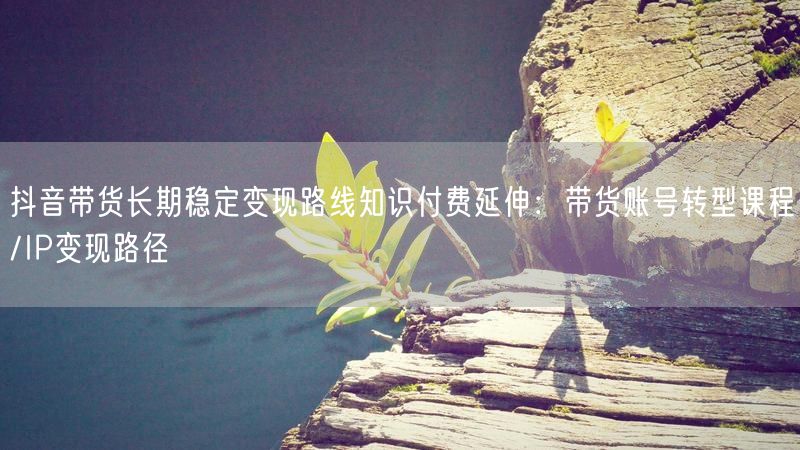 抖音带货长期稳定变现路线知识付费延伸：带货账号转型课程/IP变现路径