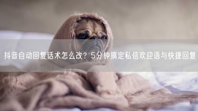 抖音自动回复话术怎么改？5分钟搞定私信欢迎语与快捷回复