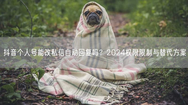 抖音个人号能改私信自动回复吗？2024权限限制与替代方案
