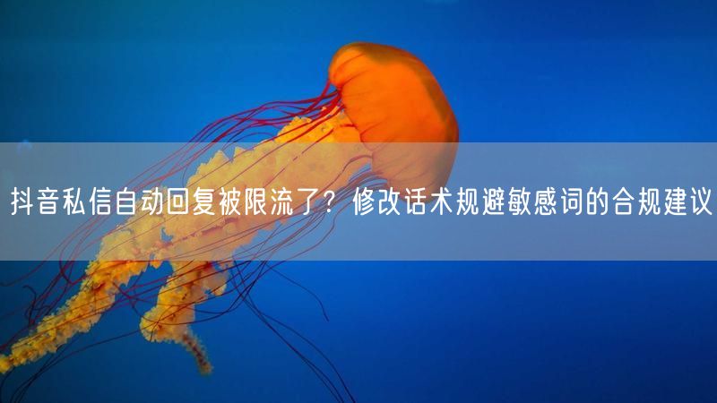 抖音私信自动回复被限流了？修改话术规避敏感词的合规建议