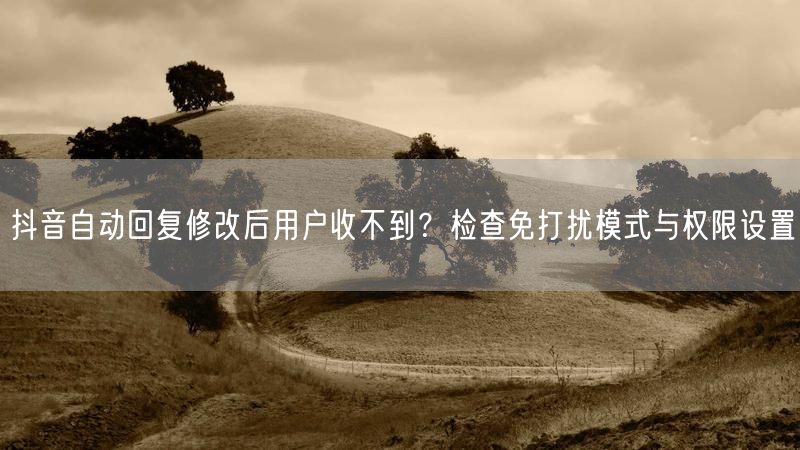 抖音自动回复修改后用户收不到？检查免打扰模式与权限设置