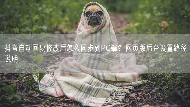 抖音自动回复修改后怎么同步到PC端？网页版后台设置路径说明