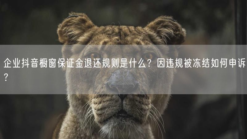 企业抖音橱窗保证金退还规则是什么？因违规被冻结如何申诉？