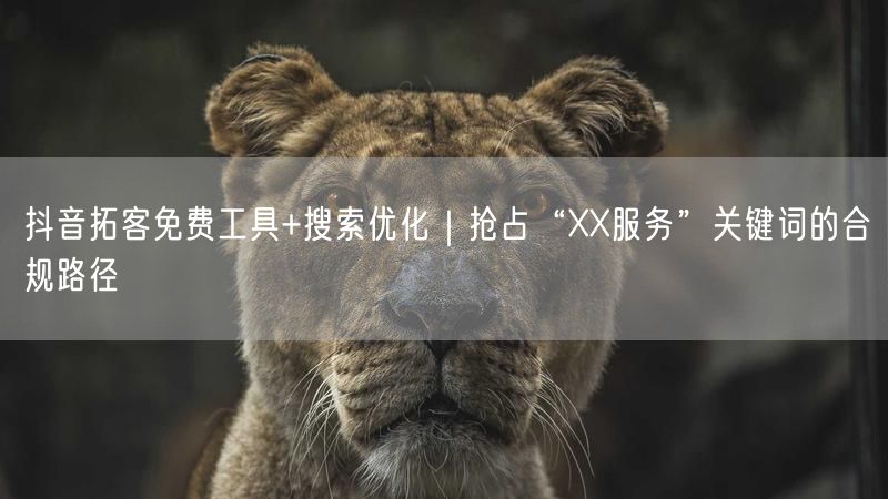 抖音拓客免费工具+搜索优化｜抢占“XX服务”关键词的合规路径