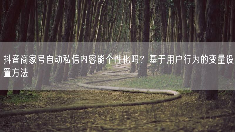 抖音商家号自动私信内容能个性化吗？基于用户行为的变量设置方法
