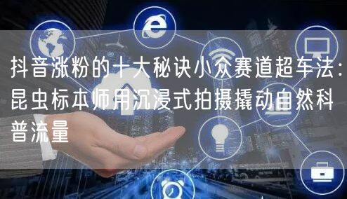 抖音涨粉的十大秘诀小众赛道超车法：昆虫标本师用沉浸式拍摄撬动自然科普流量