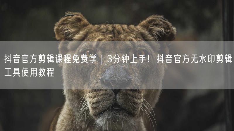 抖音官方剪辑课程免费学｜3分钟上手！抖音官方无水印剪辑工具使用教程