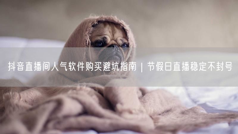抖音直播间人气软件购买避坑指南｜节假日直播稳定不封号