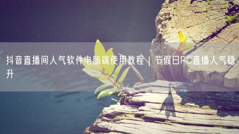 抖音直播间人气软件电脑端使用教程｜节假日PC直播人气稳升