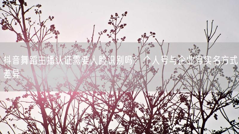 抖音舞蹈主播认证需要人脸识别吗？个人号与企业号实名方式差异