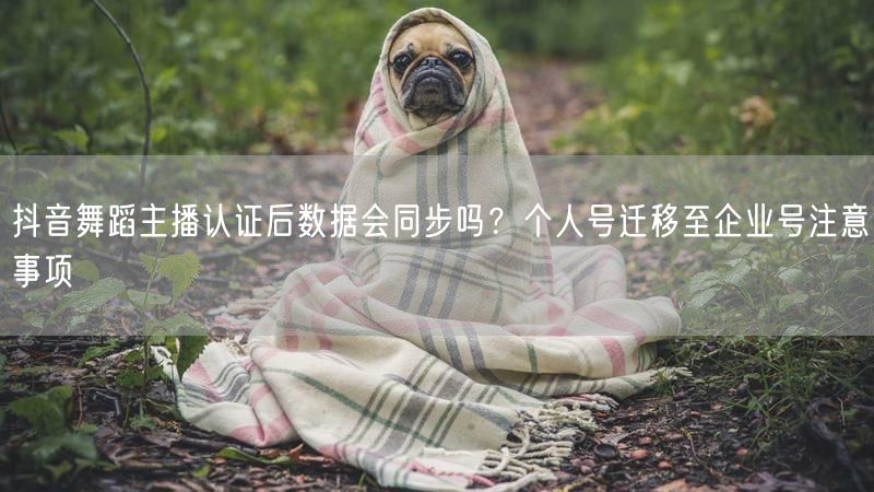 抖音舞蹈主播认证后数据会同步吗？个人号迁移至企业号注意事项