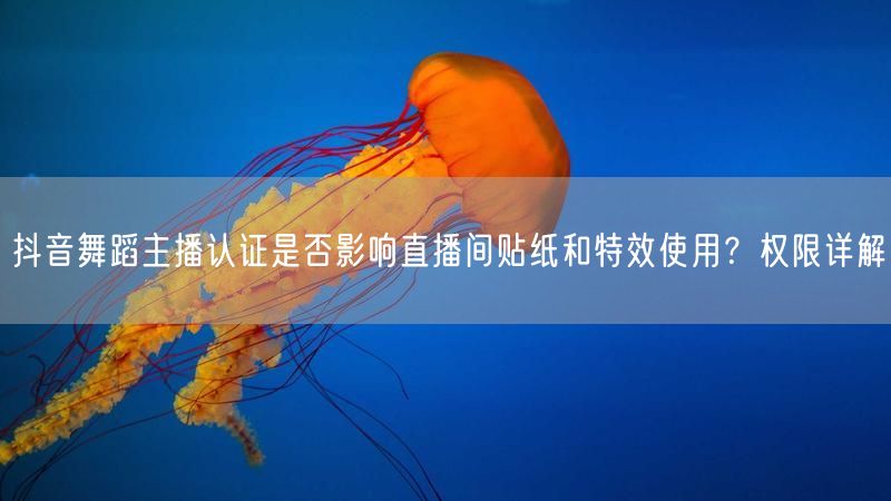 抖音舞蹈主播认证是否影响直播间贴纸和特效使用？权限详解
