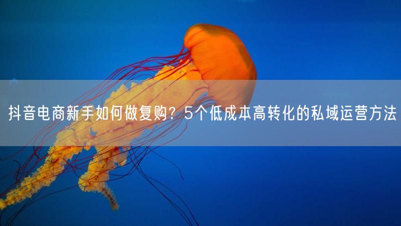 抖音电商新手如何做复购？5个低成本高转化的私域运营方法