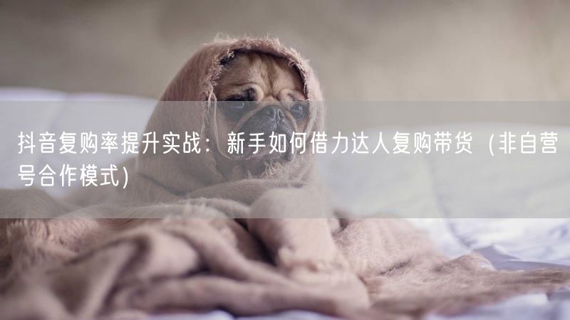 抖音复购率提升实战：新手如何借力达人复购带货（非自营号合作模式）