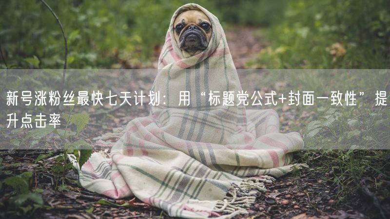 新号涨粉丝最快七天计划：用“标题党公式+封面一致性”提升点击率