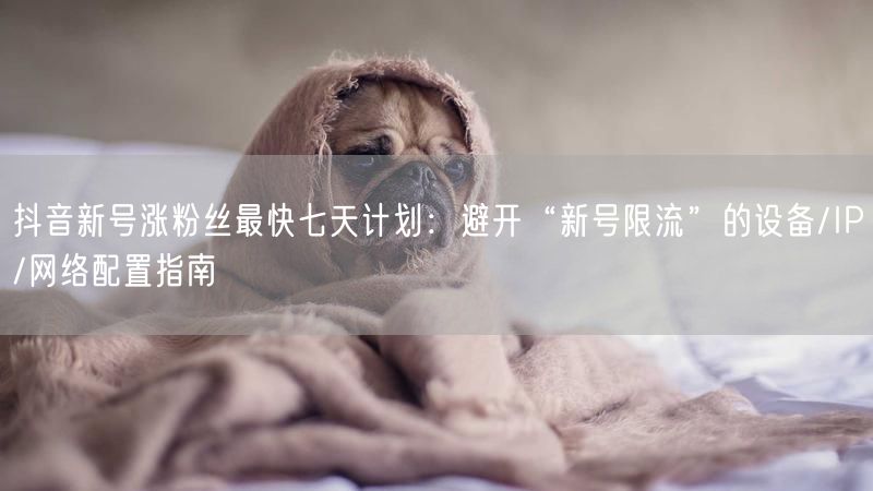 抖音新号涨粉丝最快七天计划：避开“新号限流”的设备/IP/网络配置指南